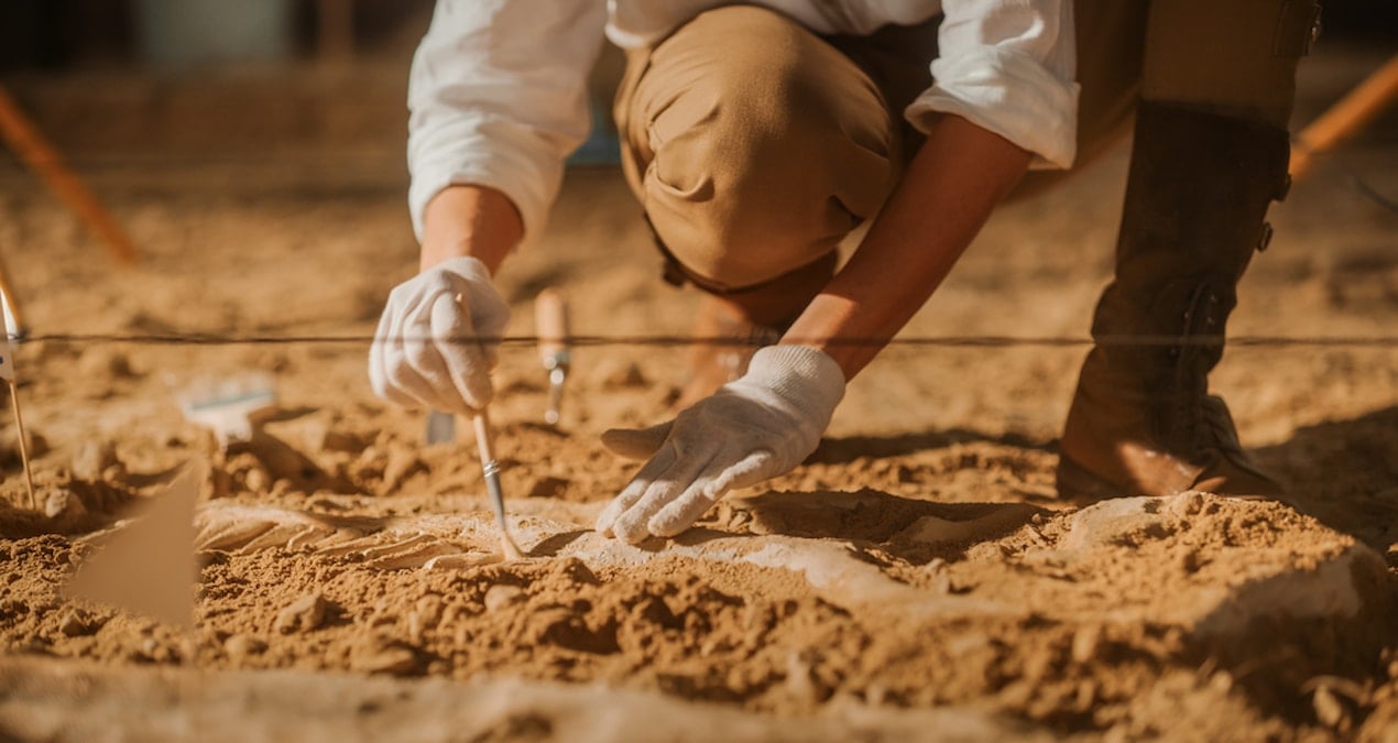13 bin yillik mamutlarin dnasi bilim insanlarini sasirtti yAPbzu9m