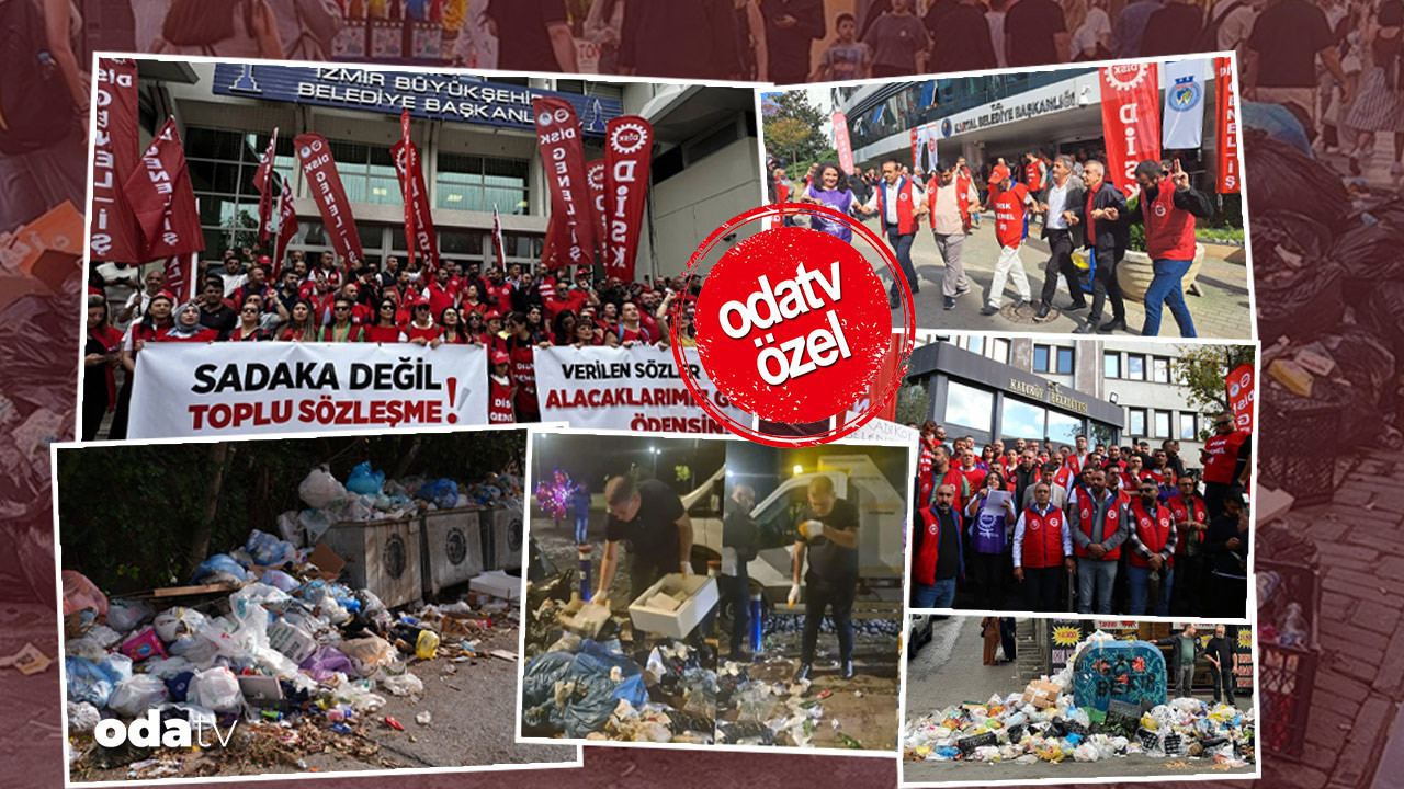 apolitik sendikacilik disk para para para P8tvnIfd