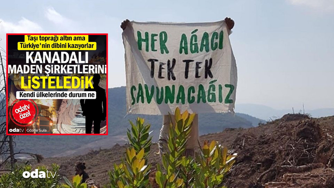 kanadali madenci turkiye defterini kapatti altin sirketi gidiyor TlZA1DG4