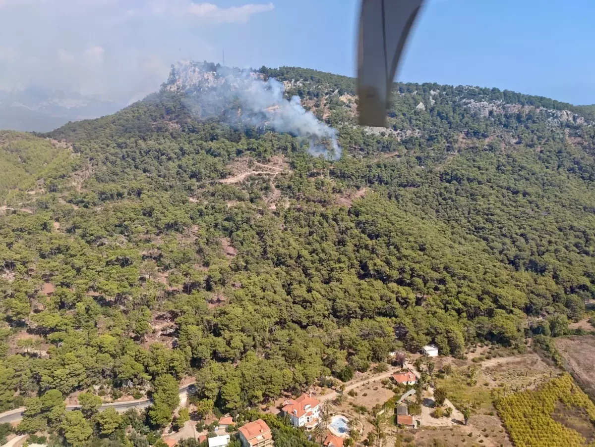 kemerde orman yangini hqFyUyk6