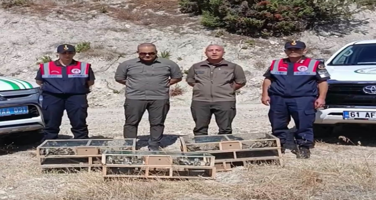 kutahyada yakalanan 142 saka kusu dogaya salindi 1UnvTORI