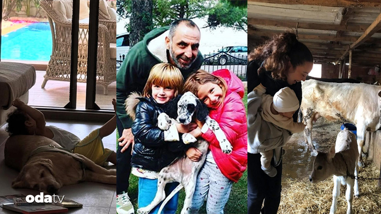 unlulerin cocuklari ve hayvanlariyla renkli kareleri An9KWFFl