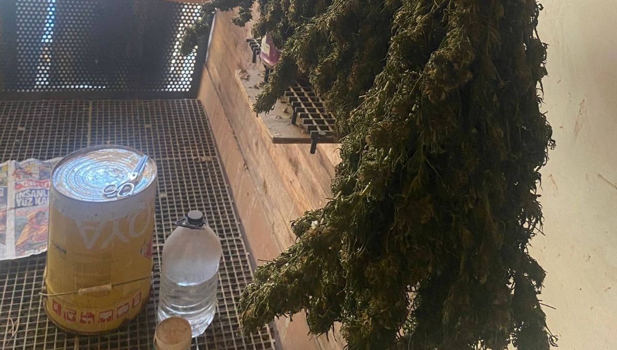 bursada guvercin kumesine gizlenmis uyusturucubulundu eDMfW1jM