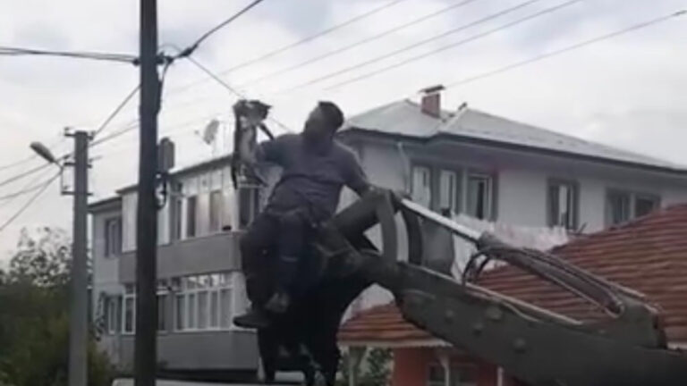 duzcede kopeklerden kacan kedi direkte mahsur kaldi vd7ZzTR7.jpg