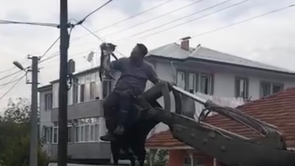 duzcede kopeklerden kacan kedi direkte mahsur kaldi vd7ZzTR7.jpg