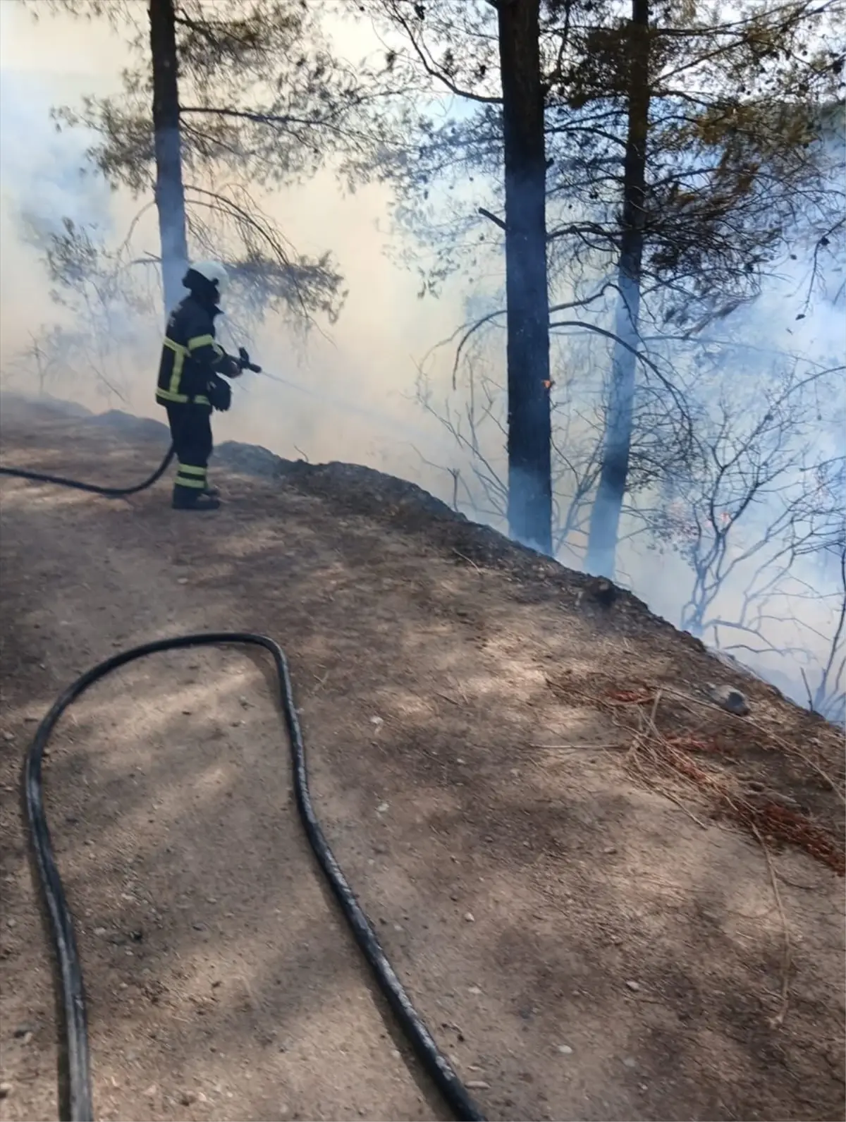 erzinde orman yangini kontrol altina alindi QSrWwV2g