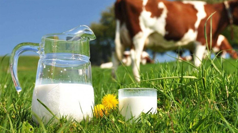 inekler kesime gidiyor uretim daraliyor sute zam mi gelecek 5cnTE2qN.jpg