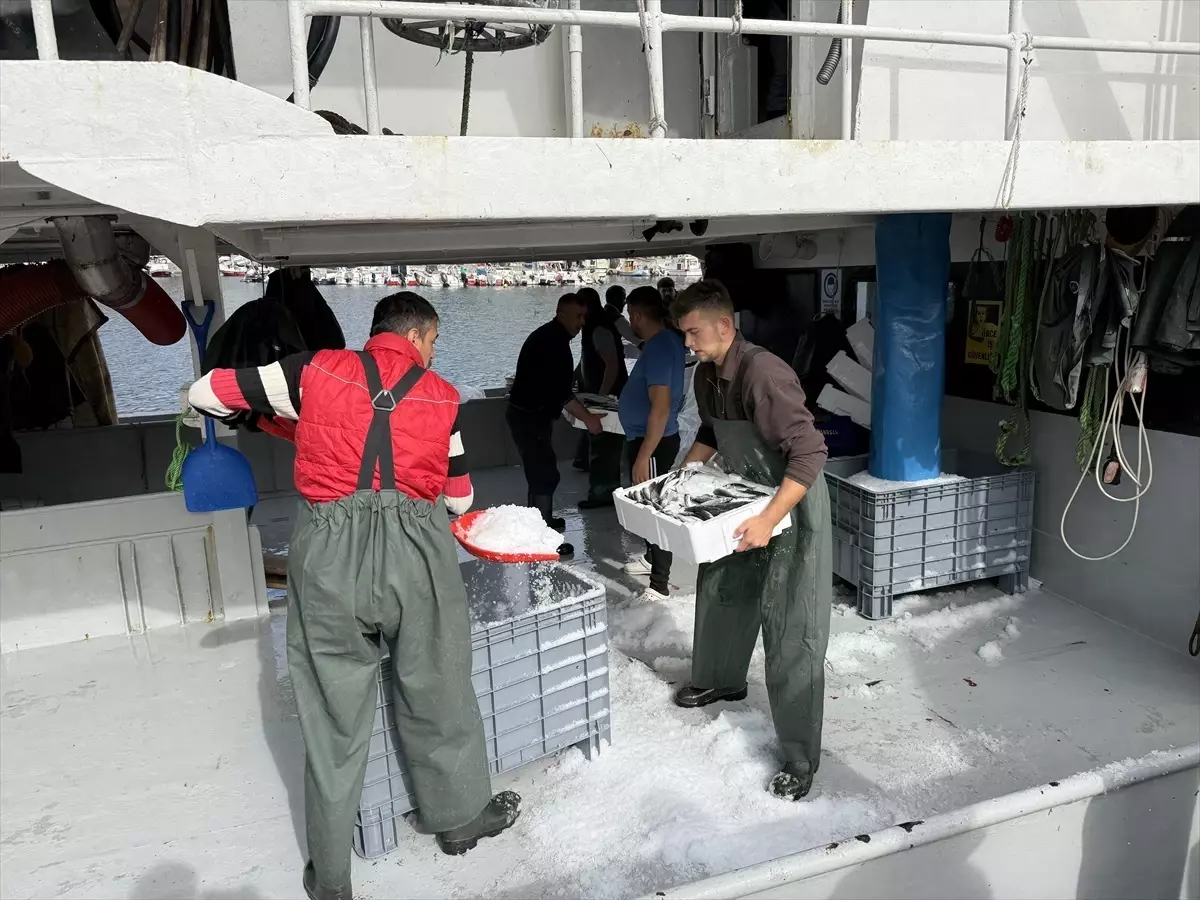 tekirdagli balikcilar istavritle dolu donuyor JDTxtRqC