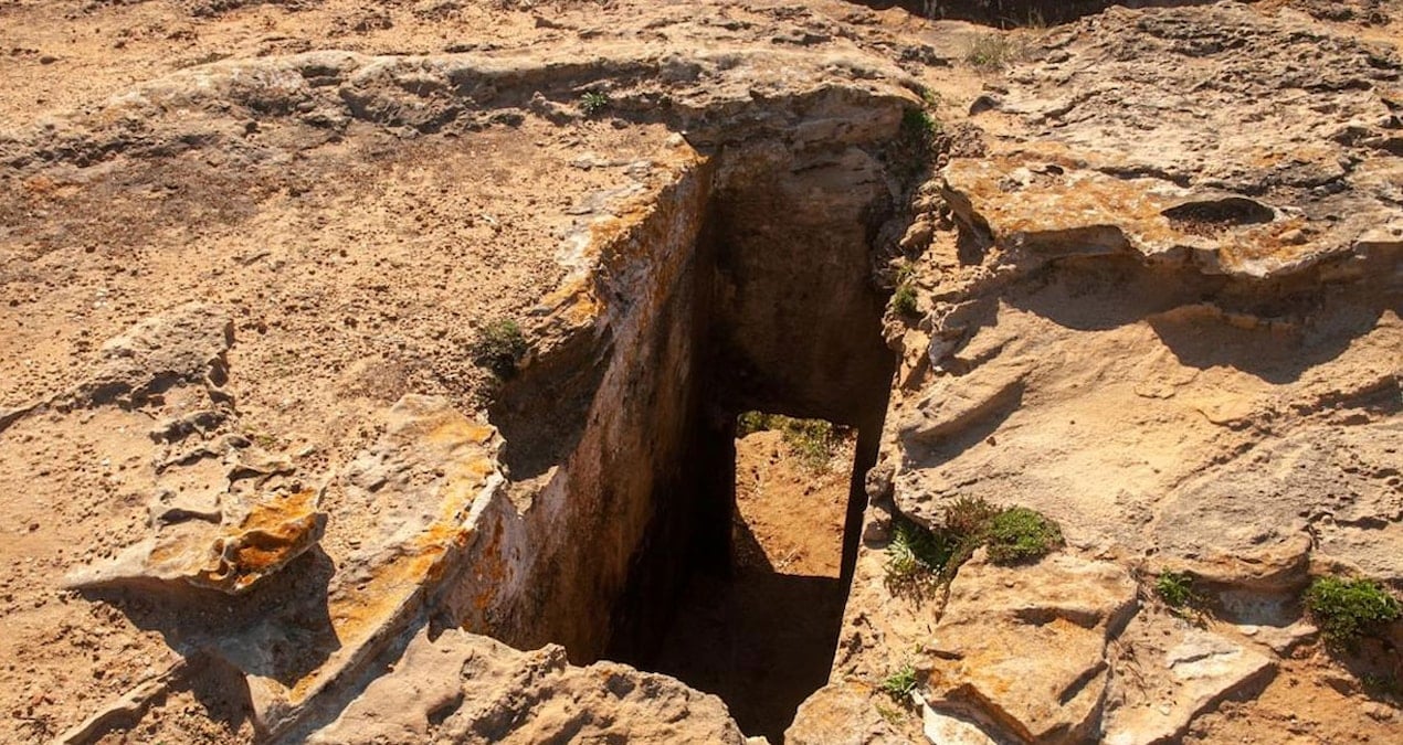 ulkenin en buyuk hazinesini buldu calinmasin diye arabasinda uyudu sLEEtQ8J.jpg