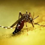 atlas-featured-11218-1775644174-fkljpM